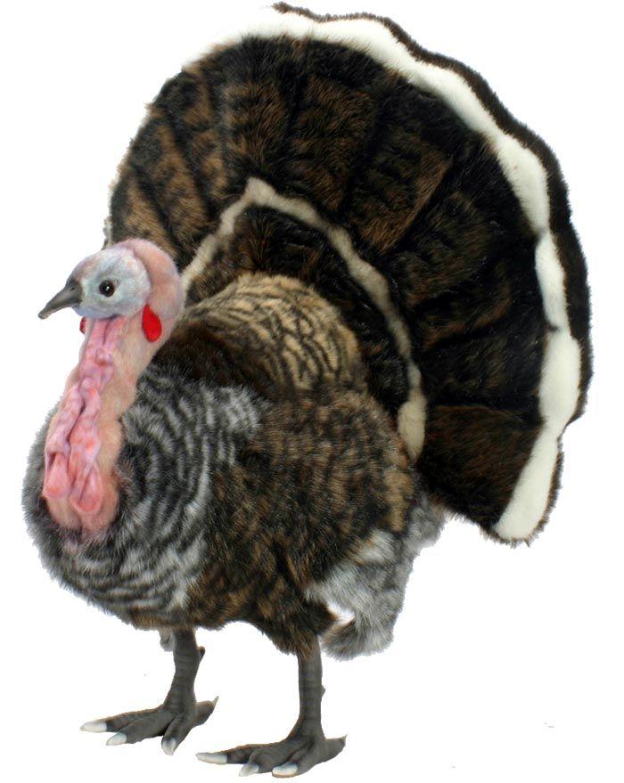 Turkey - Medium 19''H - UNQFurniture