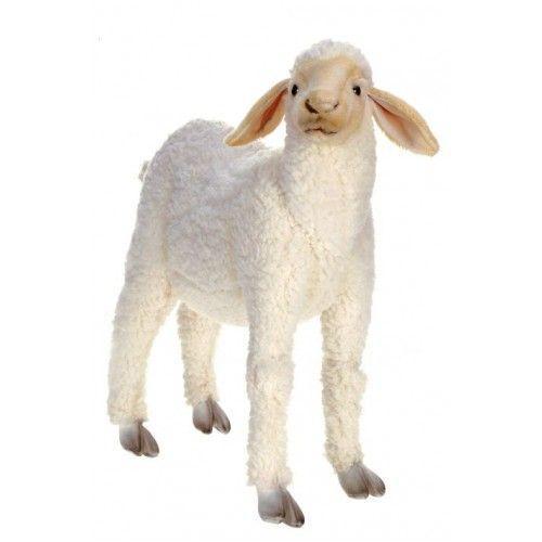 Lamb Baby Life Sz 20"L X 20''H - UNQFurniture