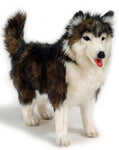 Husky Dog 14'' - UNQFurniture