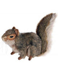 Gray Squirrel Sitting 9" - UNQFurniture