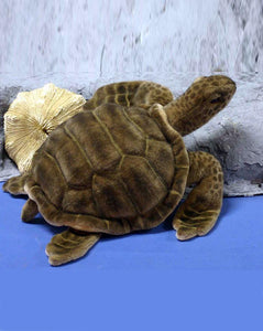 Sea Tortoise 20''L - UNQFurniture