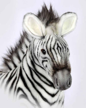 Medium Grevy'S Zebra 14'' - UNQFurniture