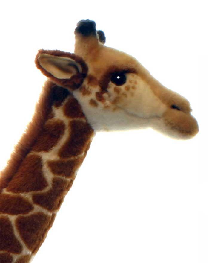 Giraffe 27.5'' - UNQFurniture