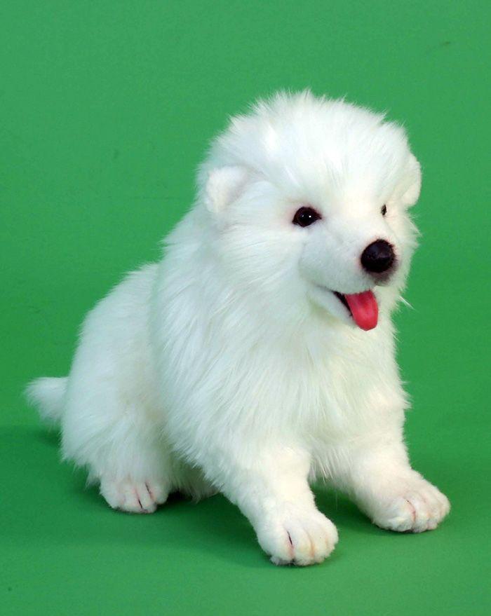 Samoyed Puppy 11"L - UNQFurniture