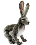 Jack Rabbit 9'' - UNQFurniture