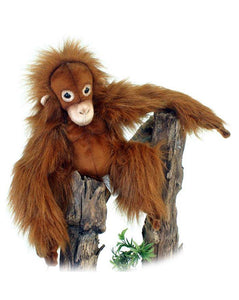 Orangutan Baby 11'' - UNQFurniture