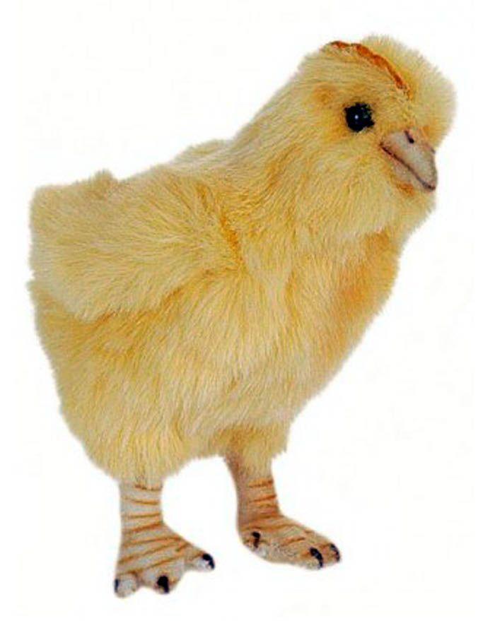 Hen Chicks 4''L X 5''H - UNQFurniture