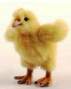 Hen Chicks 4''L X 5''H - UNQFurniture