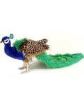 Peacock, Med 10'' - UNQFurniture