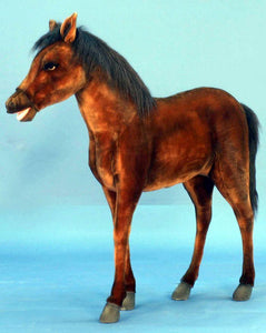 Thoroughbred Foal 39"L X 39"H (Sp) - UNQFurniture