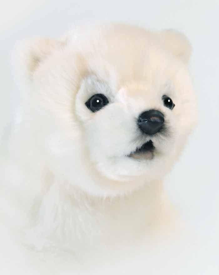 Polar Bear Baby 13" - UNQFurniture