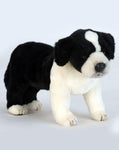 Border Collie Puppy 10'' - UNQFurniture