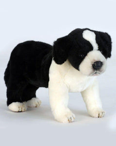 Border Collie Puppy 10'' - UNQFurniture