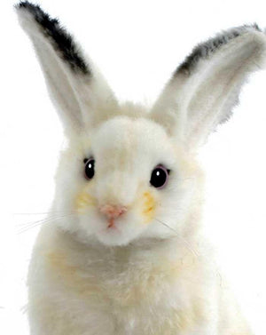 White Bunny, Sitting 6'' - UNQFurniture