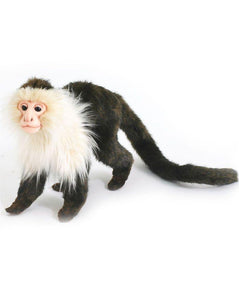 Capuchin Monkey 8'' - UNQFurniture