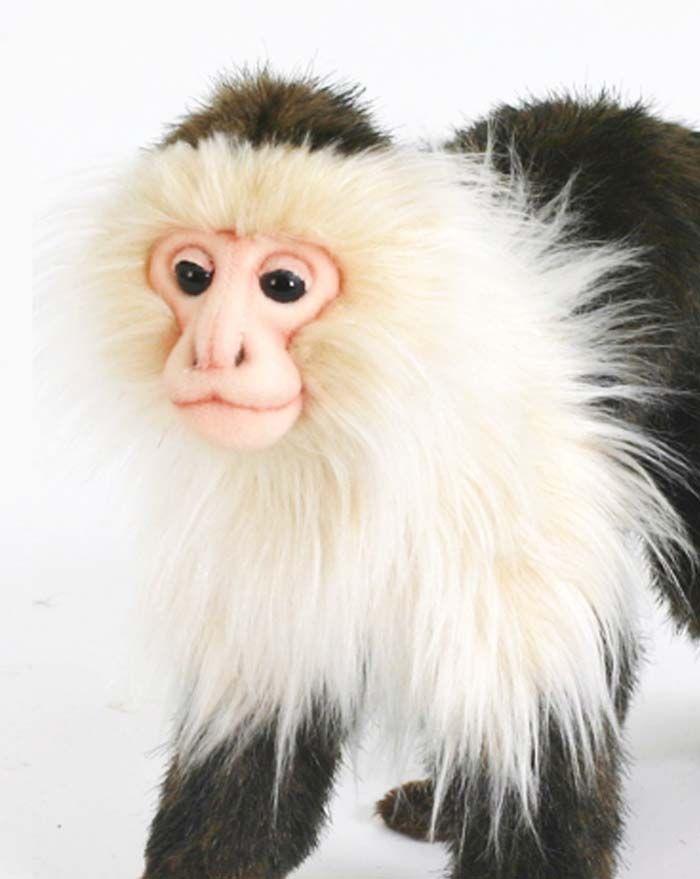 Capuchin Monkey 8'' - UNQFurniture