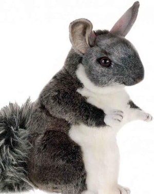 Chinchilla "Chauncey" 8'' - UNQFurniture