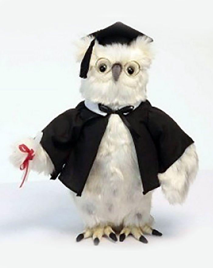 Owl White Graduation 13'' (Sp) - UNQFurniture