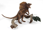 Frilled Lizard-Brown 16''L - UNQFurniture