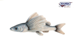 Sharp Chin Flying Fish 10''L - UNQFurniture