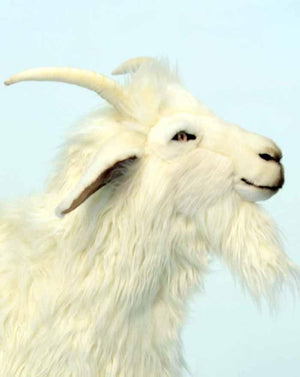 Cashmere Goat 40''L - UNQFurniture