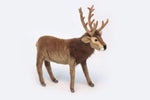 Reindeer, Brown 15'' H - UNQFurniture