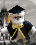 Owl White Graduation 7'' - UNQFurniture