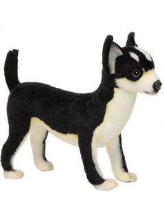 Chihuahua Blk/White 11''L - UNQFurniture