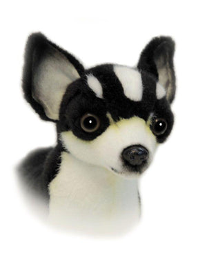 Chihuahua Blk/White 11''L - UNQFurniture