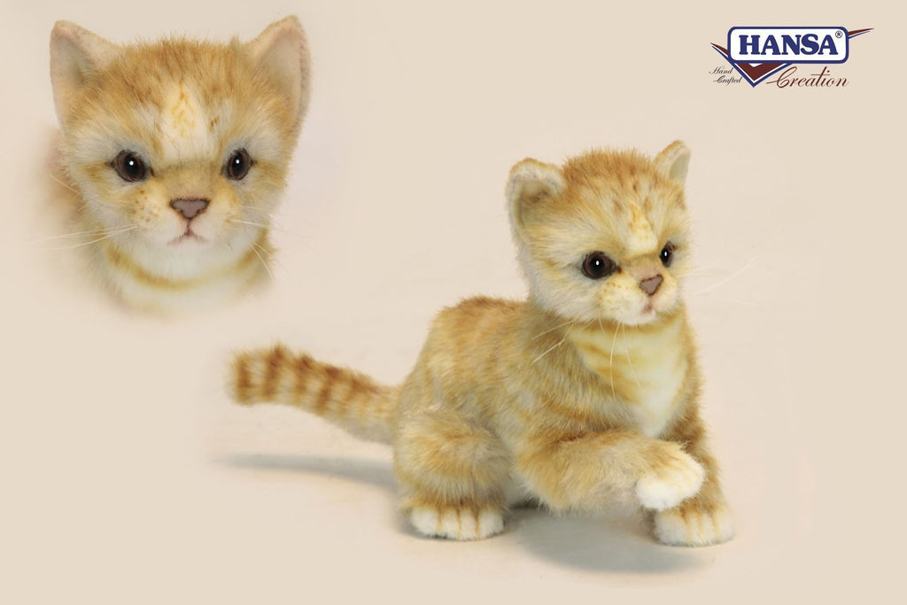 Kitten Ginger 8"L - UNQFurniture