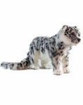 Snow Leopard Standing (Sp) - UNQFurniture