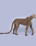 Cheetah Life Size Standing 50"L - UNQFurniture