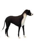 Great Dane 69.2'' L - UNQFurniture