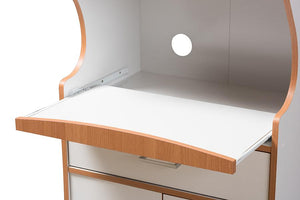 Baxton Studio Edonia Modern and Contemporary Beech Brown and White Finish Kitchen Cabinet