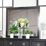 Arabelle Transitional Style Black Finish Mirror