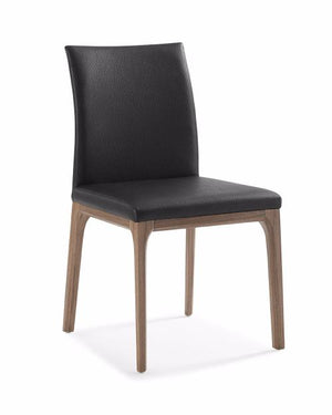 Whiteline Modern Living - Stella Dining Chair - UNQFurniture