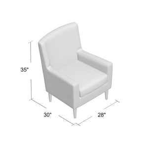 Donham Lounge Chair