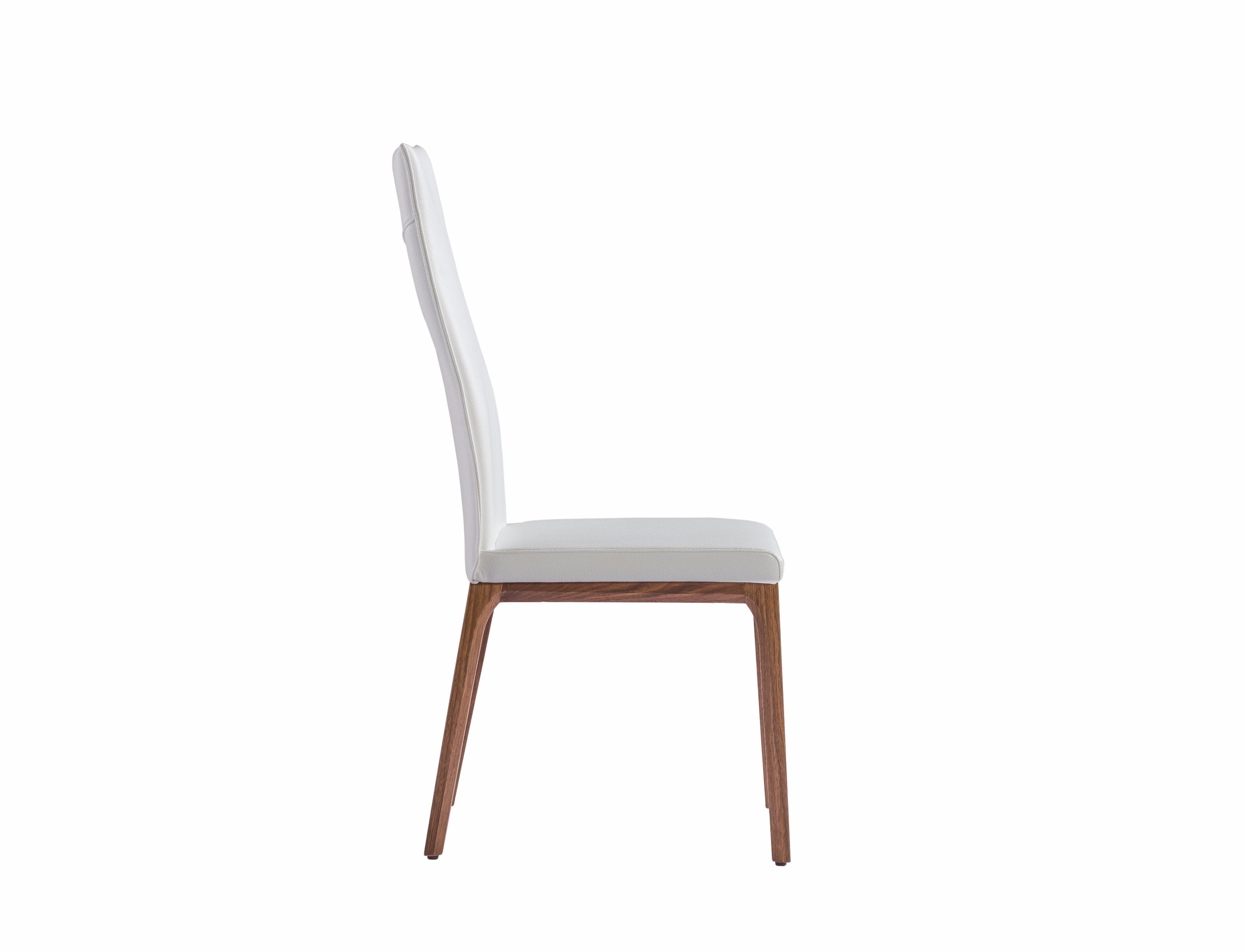 Whiteline Modern Living - Ricky Dining Chair - UNQFurniture