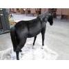 Black Pony Life Size - UNQFurniture