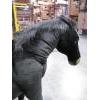 Black Pony Life Size - UNQFurniture