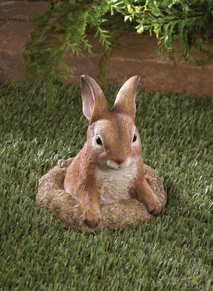 Curious Bunny Garden Decor - UNQFurniture