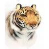 Tiger Animal Seat - UNQFurniture